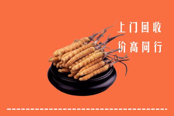 高价求购：德安县回收散虫草
